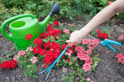 Final touches by Erith gardeners on a lush garden