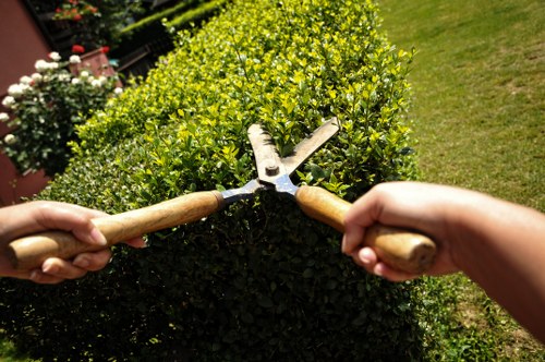 Tools and equipment used for garden clearance in Erith