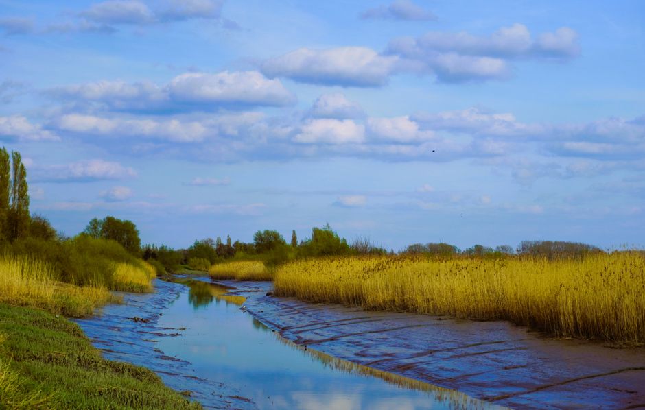 A narrow wooden footbridge with weathered planks, surrounded by tall, green grasses and small shrubs, leads across a grassy field towards an open landscape under a partly cloudy sky. The bridge has si